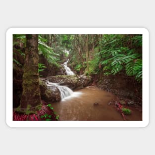 Double waterfall in the rainforest in Hawaii Sticker